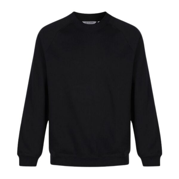 Unisex School Sweatshirt Junior Thumbnail