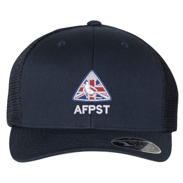 AFPST Tech Cap Thumbnail